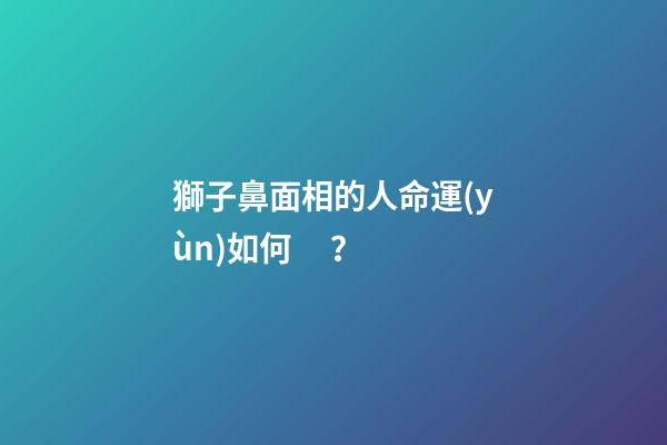 獅子鼻面相的人命運(yùn)如何？
